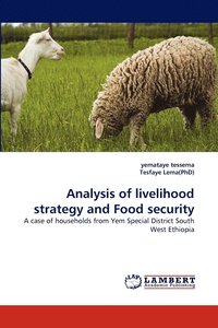 bokomslag Analysis of livelihood strategy and Food security