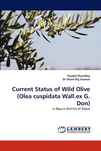 bokomslag Current Status of Wild Olive (Olea Cuspidata Wall.Ex G. Don)