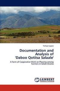 bokomslag Documentation and Analysis of 'Daboo Qotiisa Salaale'