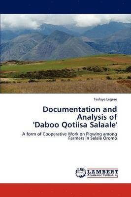 Documentation and Analysis of 'Daboo Qotiisa Salaale' 1