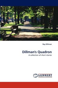 bokomslag Dillman's Quadron