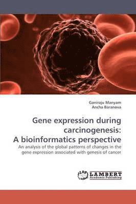 bokomslag Gene Expression During Carcinogenesis