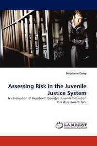 bokomslag Assessing Risk in the Juvenile Justice System