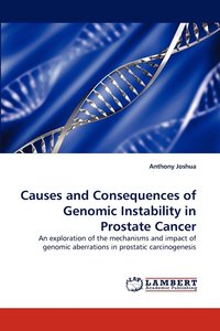 bokomslag Causes and Consequences of Genomic Instability in Prostate Cancer