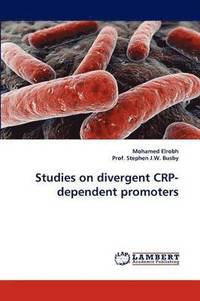 bokomslag Studies on divergent CRP-dependent promoters