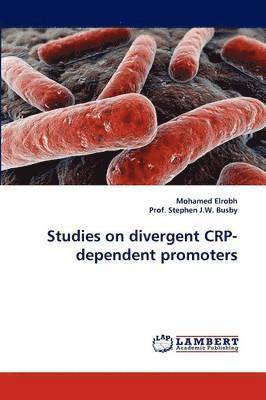 Studies on divergent CRP-dependent promoters 1