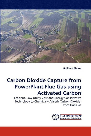 bokomslag Carbon Dioxide Capture from Powerplant Flue Gas Using Activated Carbon