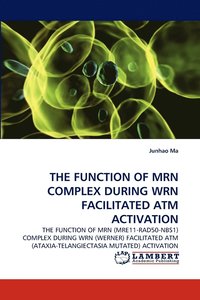 bokomslag The Function of Mrn Complex During Wrn Facilitated ATM Activation
