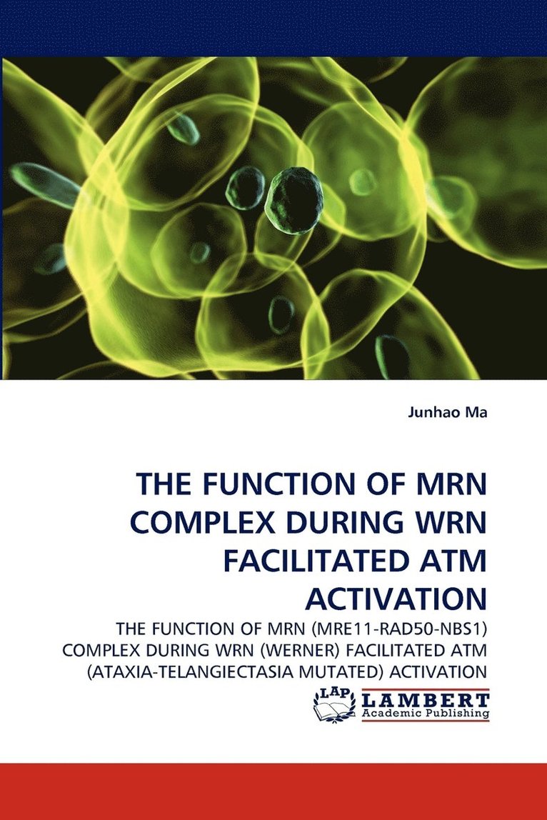 The Function of Mrn Complex During Wrn Facilitated ATM Activation 1