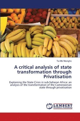 bokomslag A critical analysis of state transformation through Privatisation