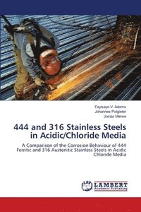bokomslag 444 and 316 Stainless Steels in Acidic/Chloride Media