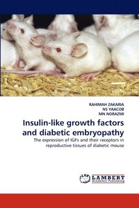 bokomslag Insulin-like growth factors and diabetic embryopathy