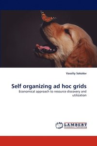 bokomslag Self Organizing Ad Hoc Grids
