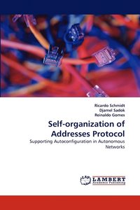 bokomslag Self-organization of Addresses Protocol