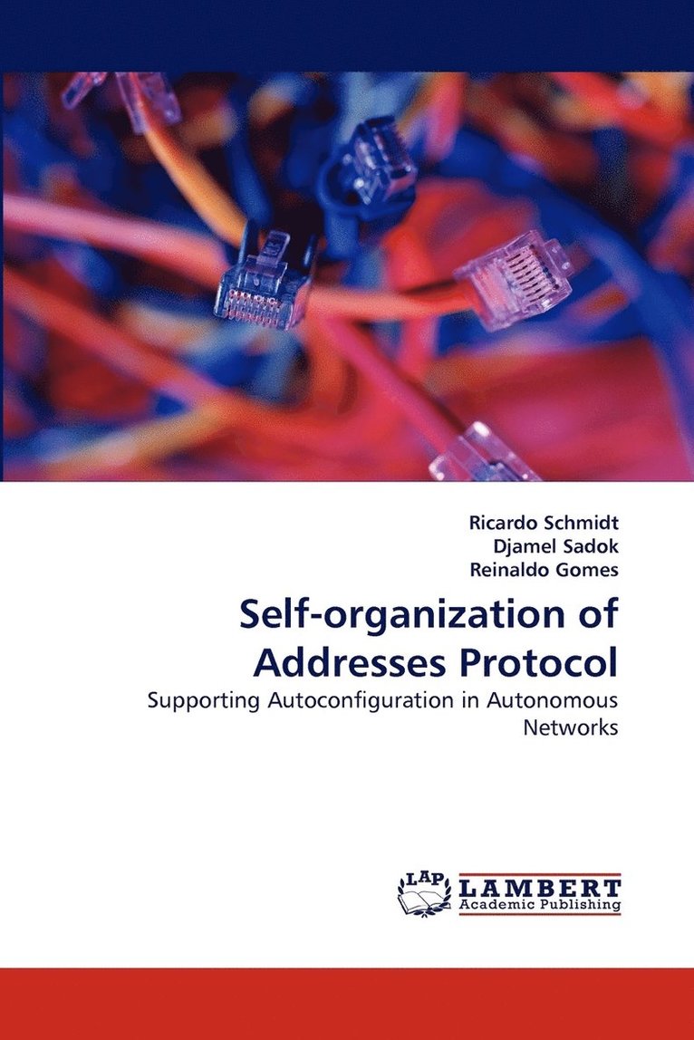Self-organization of Addresses Protocol 1
