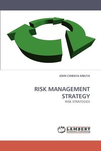 bokomslag Risk Management Strategy