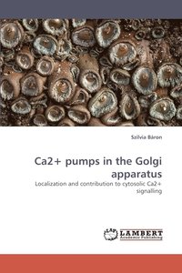 bokomslag Ca2+ Pumps in the Golgi Apparatus