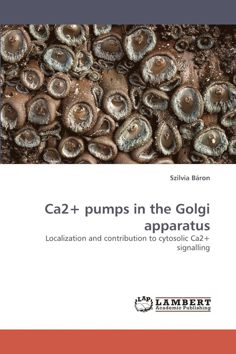 Ca2+ Pumps in the Golgi Apparatus 1