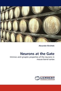 bokomslag Neurons at the Gate