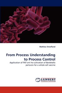 bokomslag From Process Understanding to Process Control