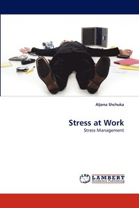 bokomslag Stress at Work