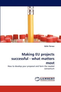 bokomslag Making Eu Projects Successful - What Matters Most