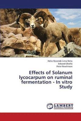 Effects of Solanum Lycocarpum on Ruminal Fermentation - In Vitro Study 1