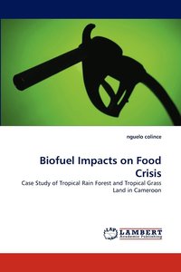 bokomslag Biofuel Impacts on Food Crisis