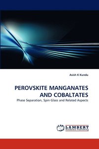 bokomslag Perovskite Manganates and Cobaltates