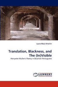 bokomslag Translation, Blackness, and the (In)Visible