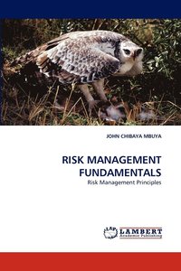 bokomslag Risk Management Fundamentals