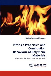 bokomslag Intrinsic Properties and Combustion Behaviour of Polymeric Materials