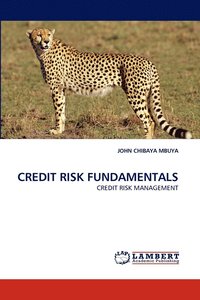 bokomslag Credit Risk Fundamentals