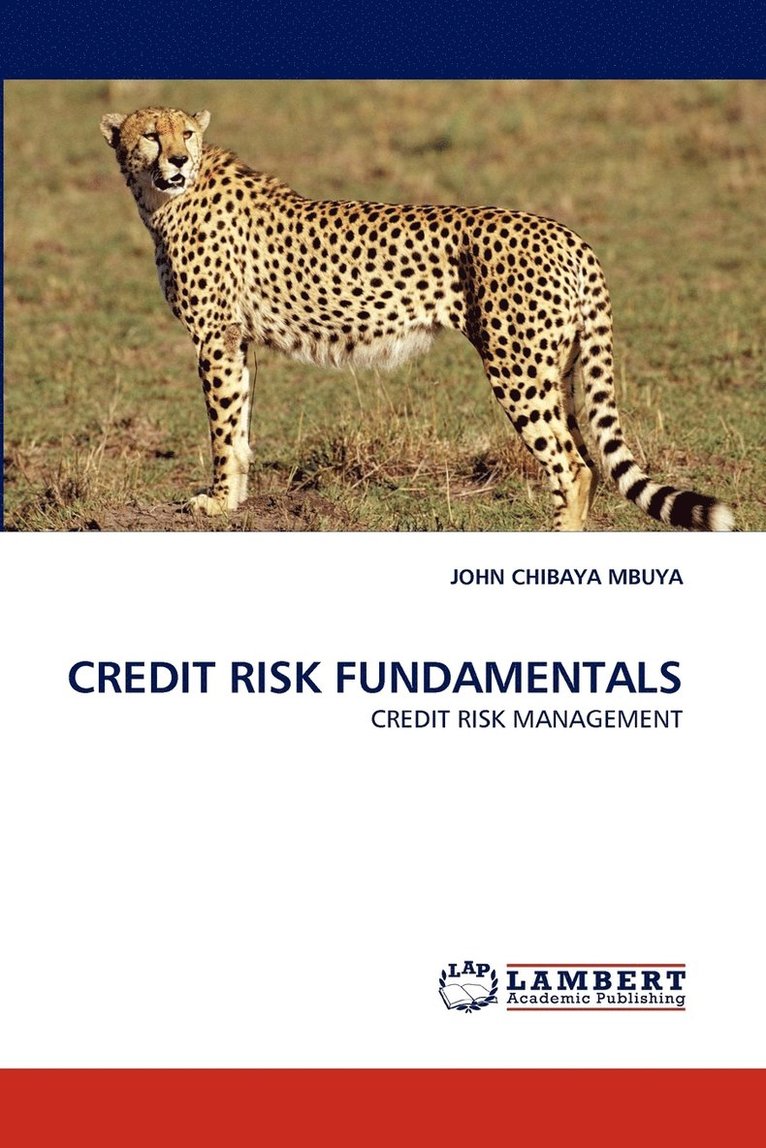 Credit Risk Fundamentals 1