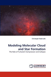 bokomslag Modeling Molecular Cloud and Star Formation