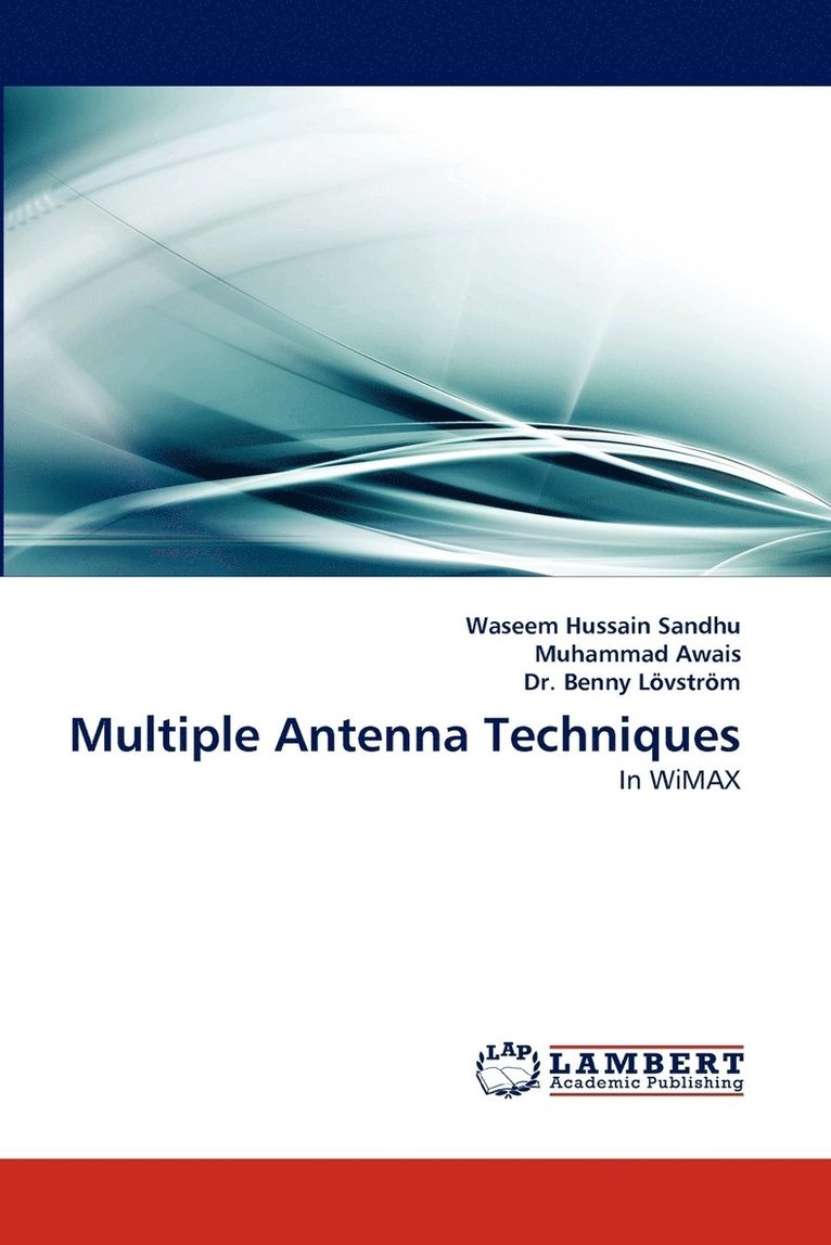 Multiple Antenna Techniques 1