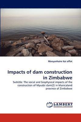 bokomslag Impacts of Dam Construction in Zimbabwe