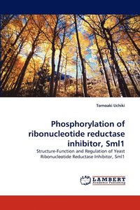 bokomslag Phosphorylation of ribonucleotide reductase inhibitor, Sml1