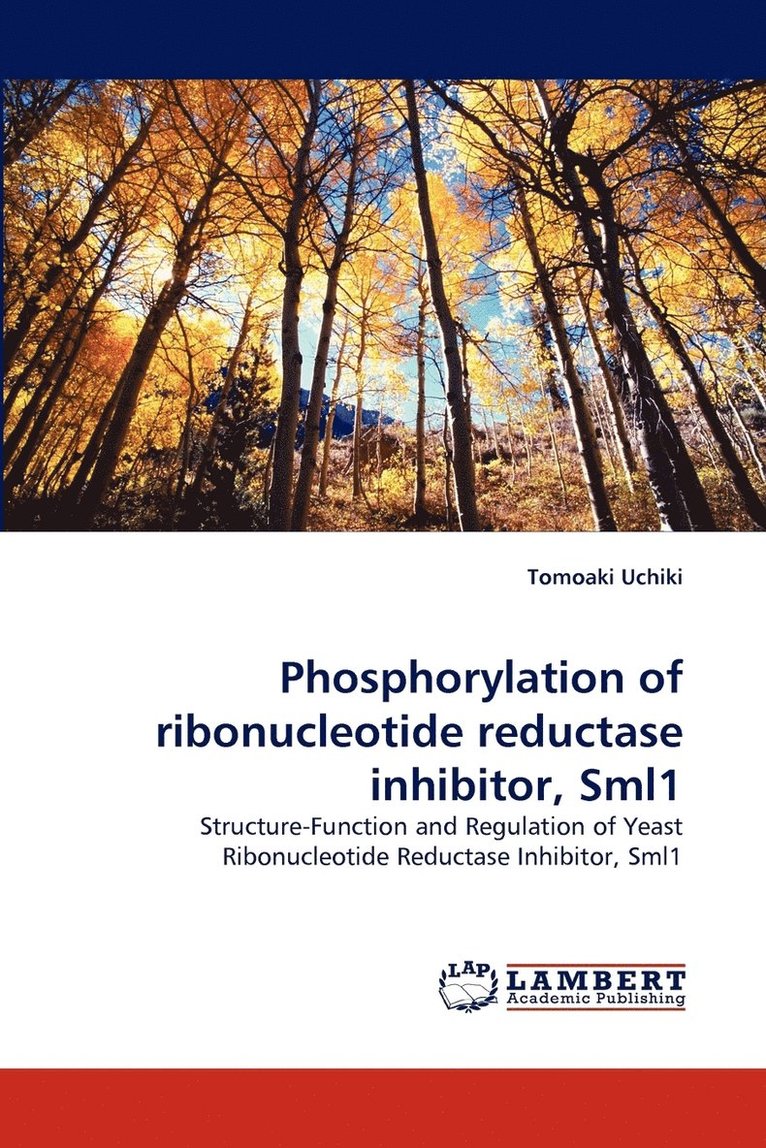 Phosphorylation of ribonucleotide reductase inhibitor, Sml1 1