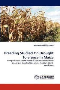 bokomslag Breeding Studied On Drought Tolerance In Maize