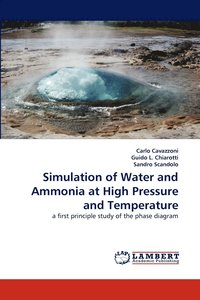 bokomslag Simulation of Water and Ammonia at High Pressure and Temperature