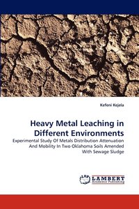 bokomslag Heavy Metal Leaching in Different Environments