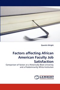 bokomslag Factors affecting African American Faculty Job Satisfaction