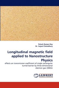 bokomslag Longitudinal Magnetic Field Applied to Nanostructure Physics