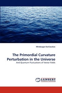 bokomslag The Primordial Curvature Perturbation in the Universe