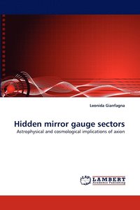 bokomslag Hidden mirror gauge sectors