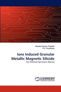 bokomslag Ions Induced Granular Metallic Magnetic Silicide