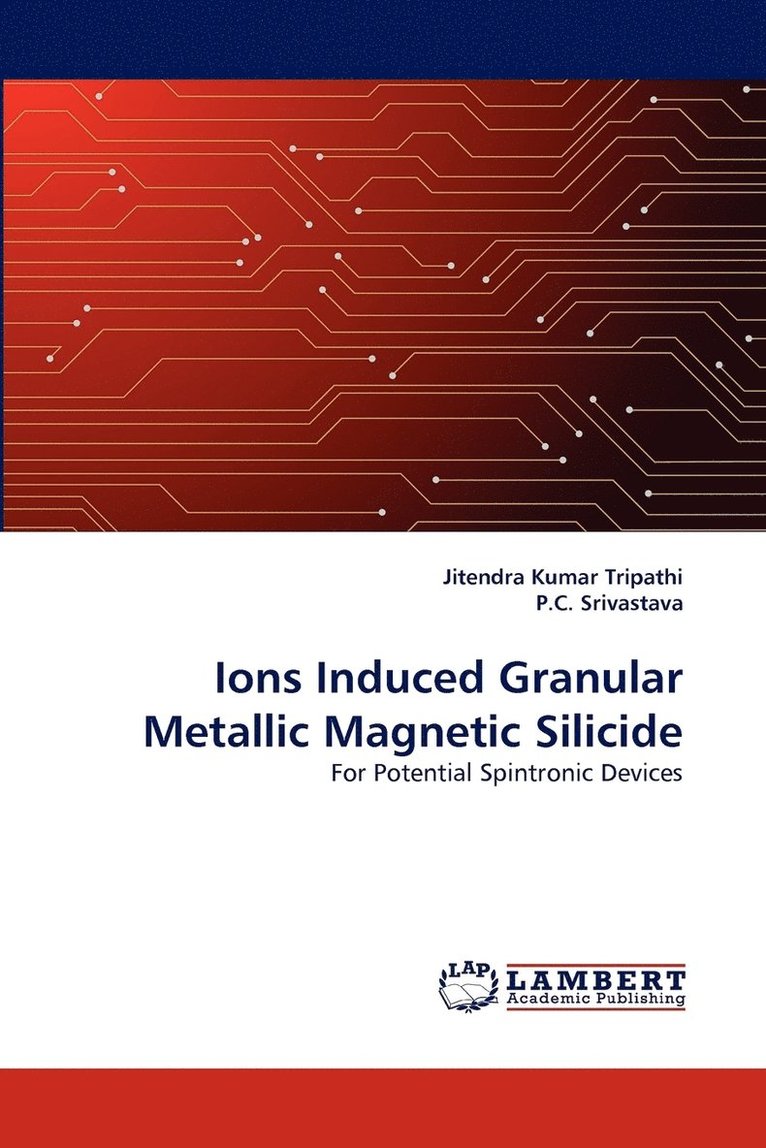 Ions Induced Granular Metallic Magnetic Silicide 1
