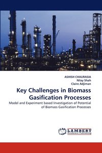 bokomslag Key Challenges in Biomass Gasification Processes