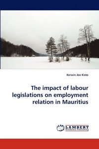 bokomslag The Impact of Labour Legislations on Employment Relation in Mauritius